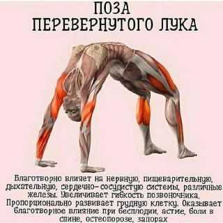 Значение разминки и заминки в тренировочном процессе