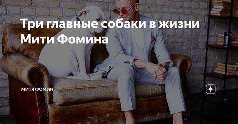 Корни Дзен: История и развитие