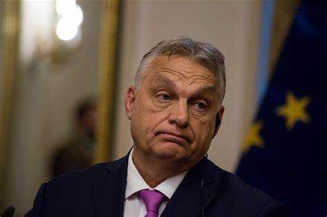 Причины начала конфликта между правоохранительными органами